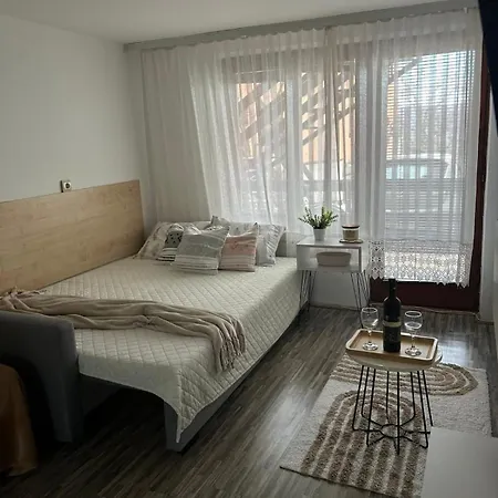 公寓 Podinario 索科矿泉村