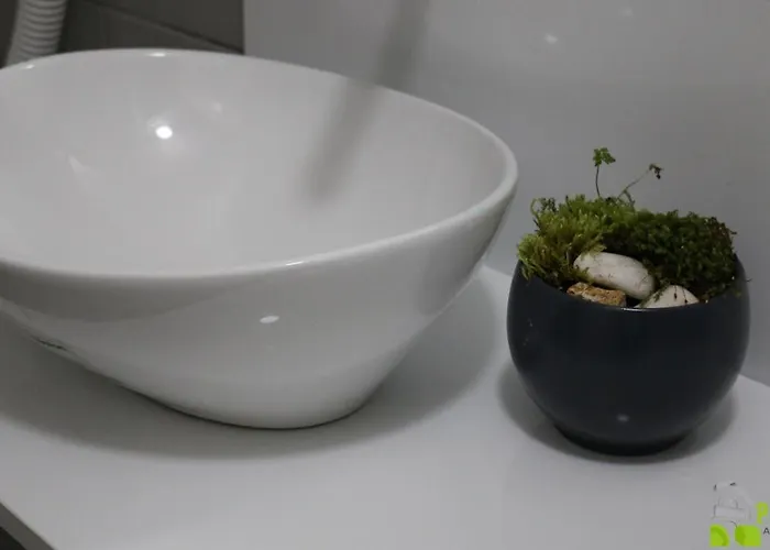 公寓 Podinario 索科矿泉村