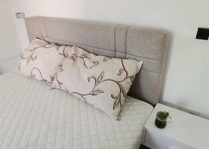 Podinario 公寓 索科矿泉村