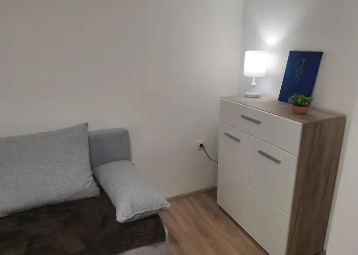 Podinario 公寓 索科矿泉村