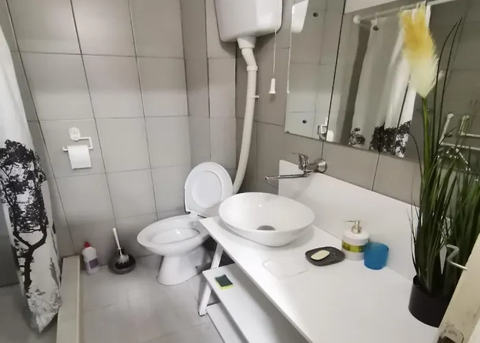 Podinario 公寓 索科矿泉村