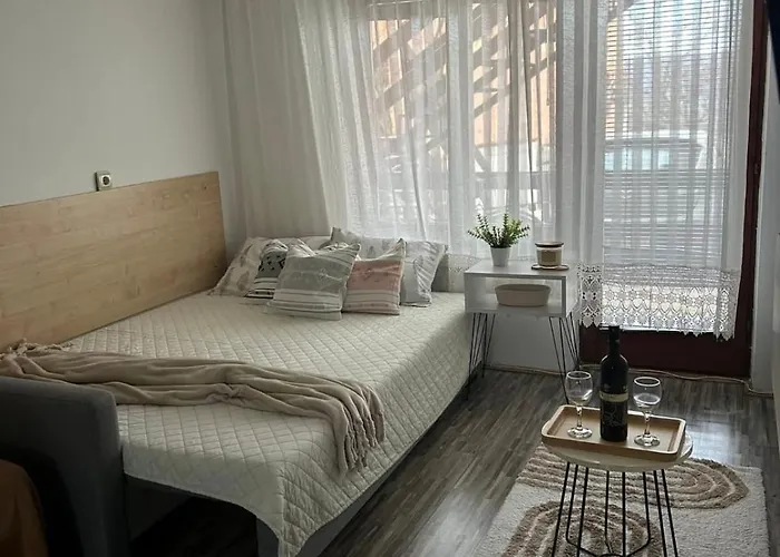 公寓 Podinario 索科矿泉村